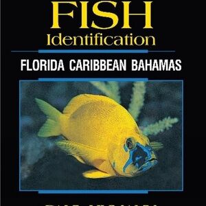 Florida Caribbean Bahamas Fish Identification Guide